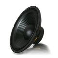 Technical Pro Technical Pro wf12.1 12 in. Raw Subwoofer wf12.1